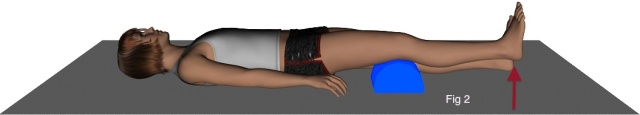 Imagen ilustrativa: muñeca acostada boca arriba con almohada bajo la rodilla, estirando la pierna (levanta el pie)